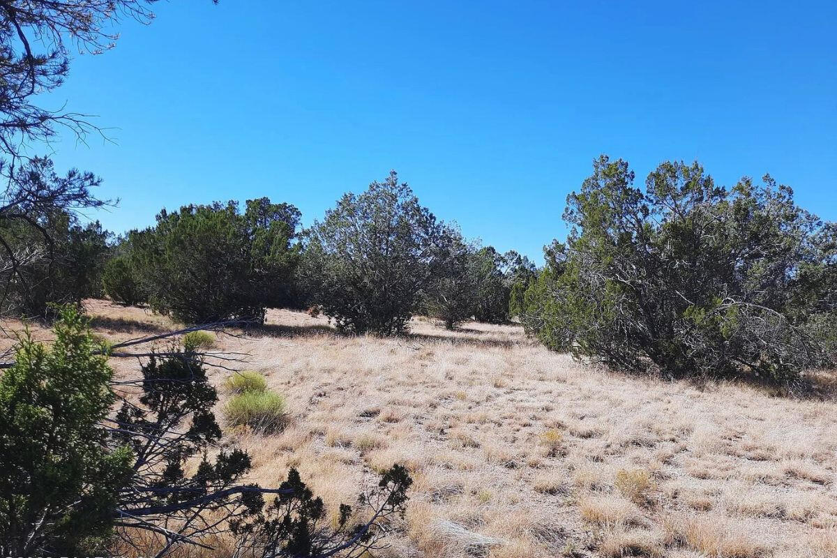Next to Public Land 1 - Via De Oro Pkwy, Seligman, AZ 86337