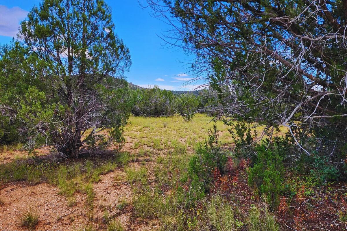 Next to Public Land 1 - Via De Oro Pkwy, Seligman, AZ 86337
