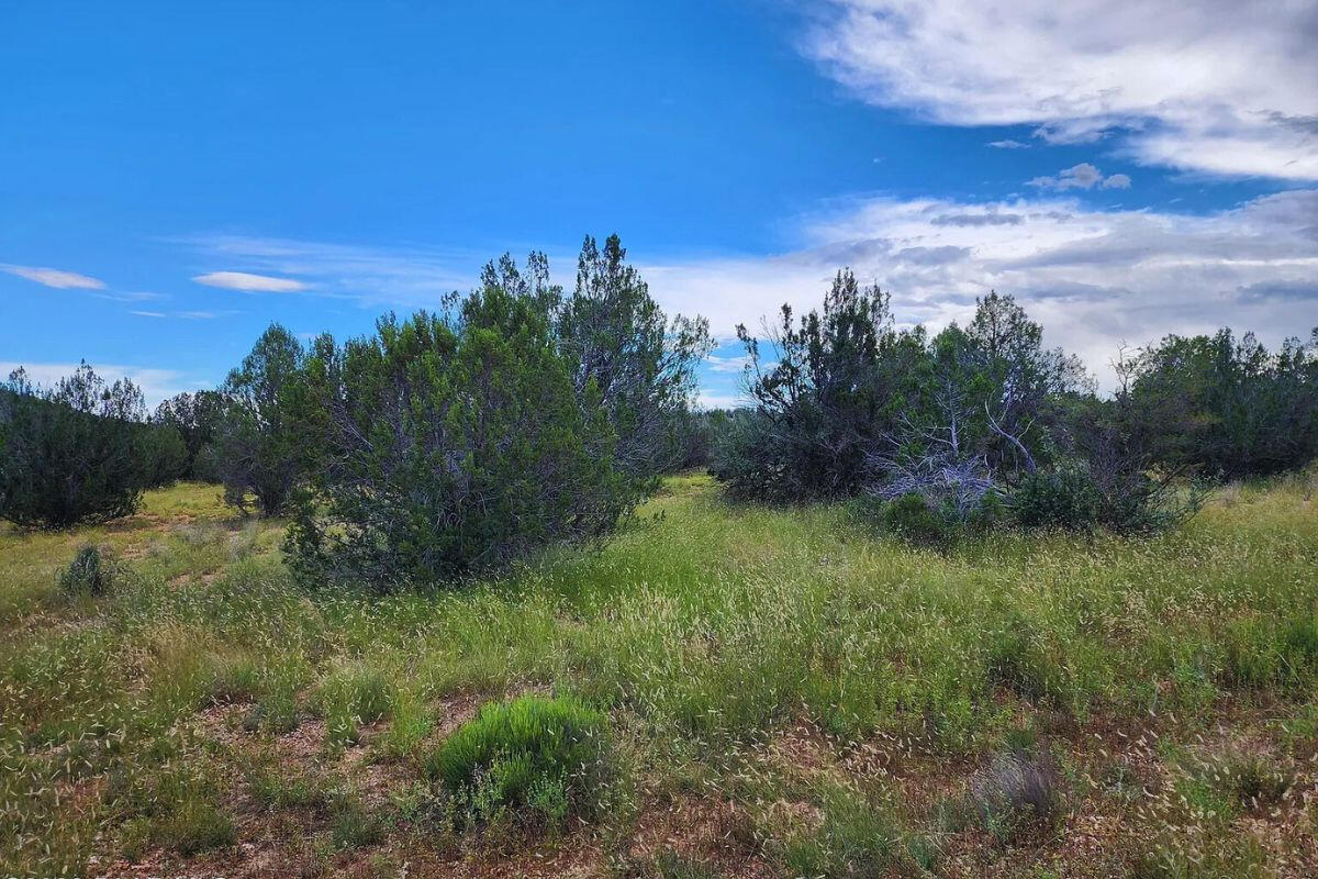 Next to Public Land 1 - Via De Oro Pkwy, Seligman, AZ 86337