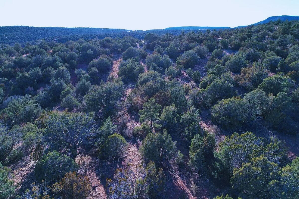 Next to Public Land 1 - Via De Oro Pkwy, Seligman, AZ 86337