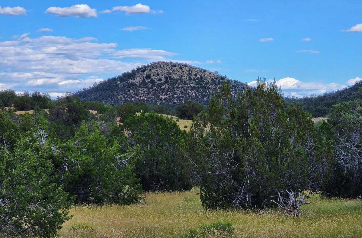 Next to Public Land 1 - Via De Oro Pkwy, Seligman, AZ 86337